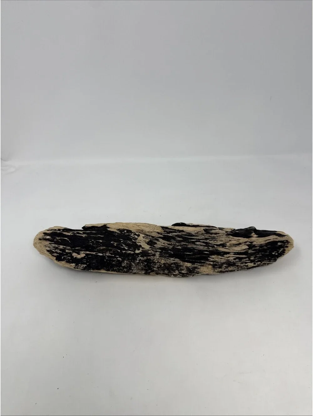 12 Inch driftwood freshwater terrarium aquarium crafts